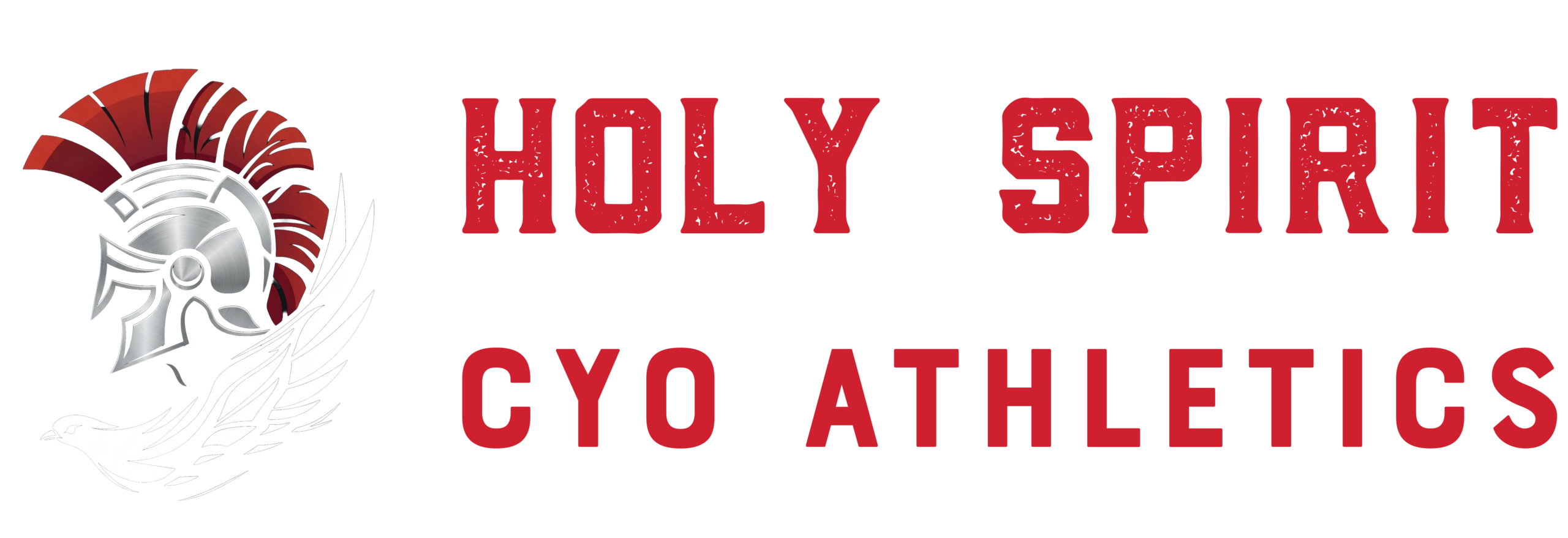 Holy Spirt CYO Athletics