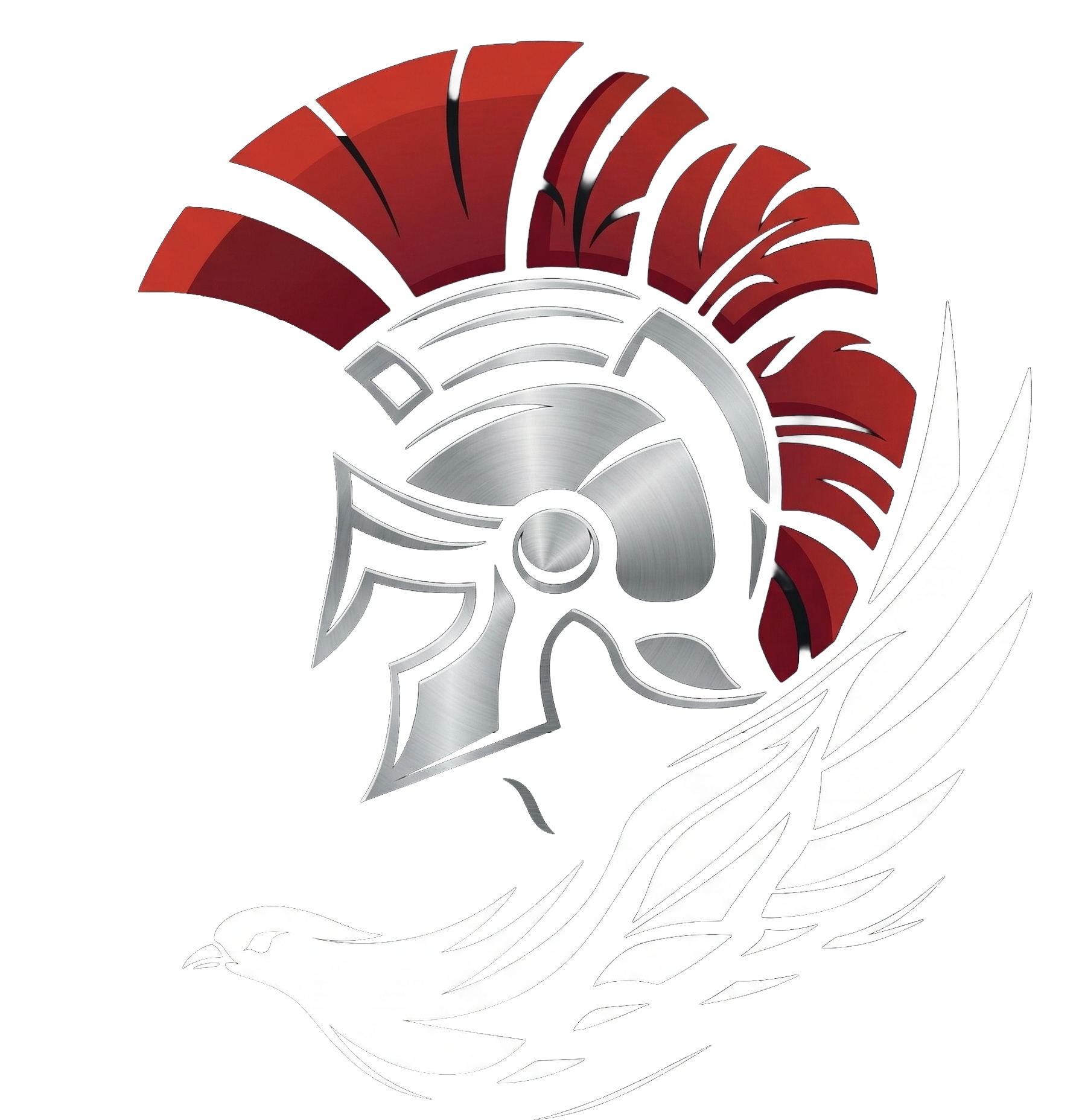 Holy Spirit CYO Athletics